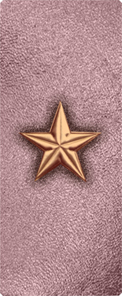 Star Copper-Orchid